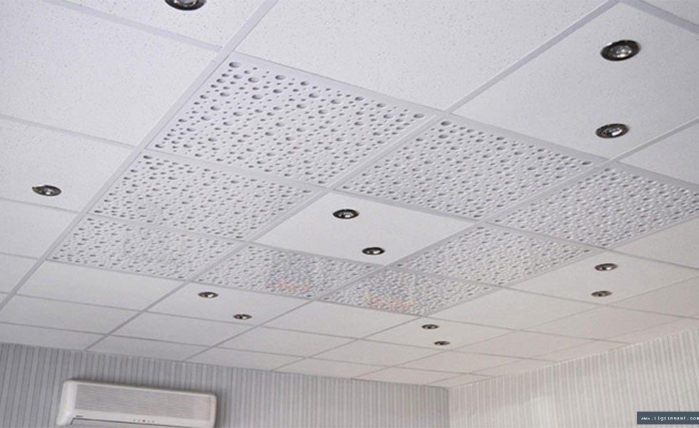 Altayçeşme Alçıpan Ustası, Niş ve Asma Tavan