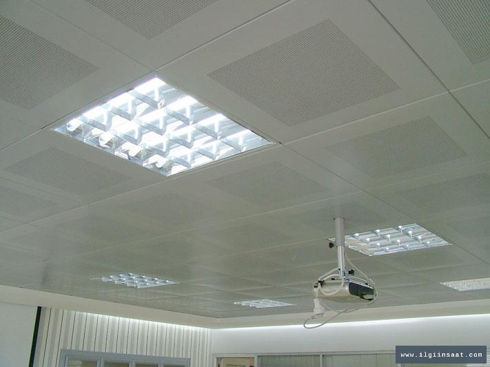 Davutpaşa Alçıpan Ustası, Niş ve Asma Tavan