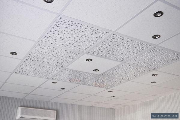 Dumlupınar Alçıpan Ustası, Niş ve Asma Tavan