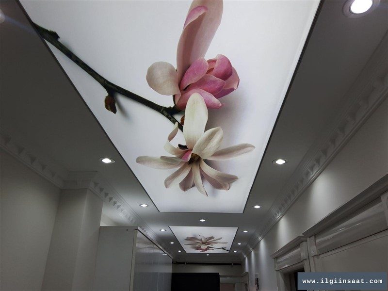 Halkalı Alçıpan Ustası, Niş ve Asma Tavan