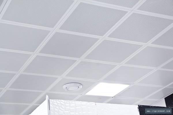 Haydarpaşa Alçıpan Ustası, Niş ve Asma Tavan