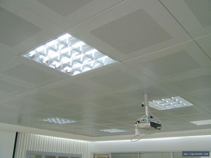 Karaköy Alçıpan Ustası, Niş ve Asma Tavan