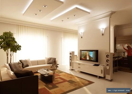 Kağıthane Hamidiye Alçıpan Ustası, Niş ve Asma Tavan