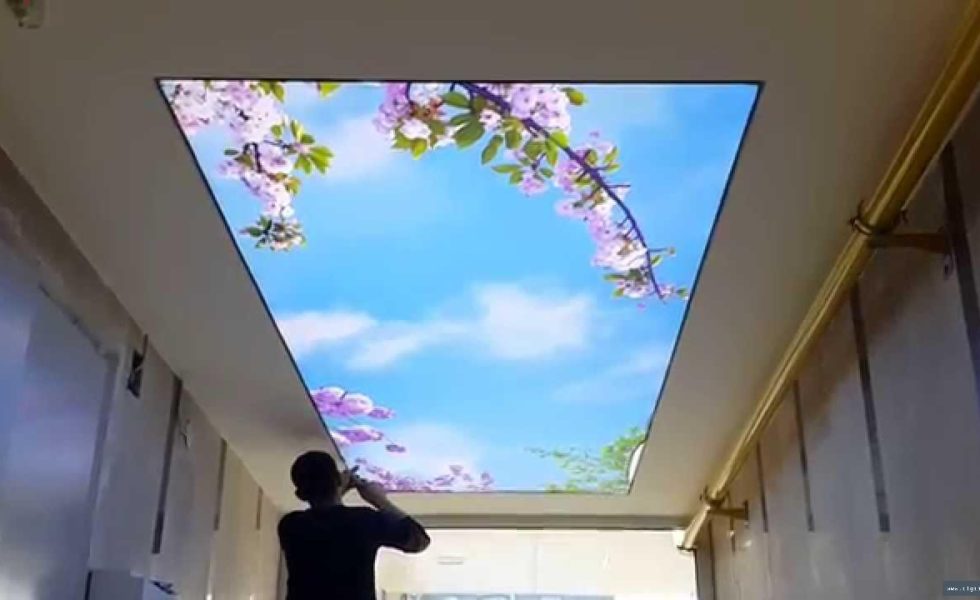 Kurtuluş Alçıpan Ustası, Niş ve Asma Tavan