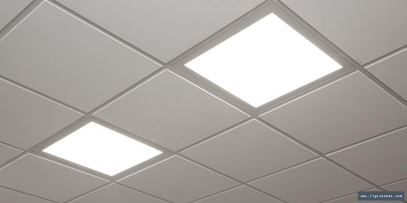 Okmeydanı Alçıpan Ustası, Niş ve Asma Tavan