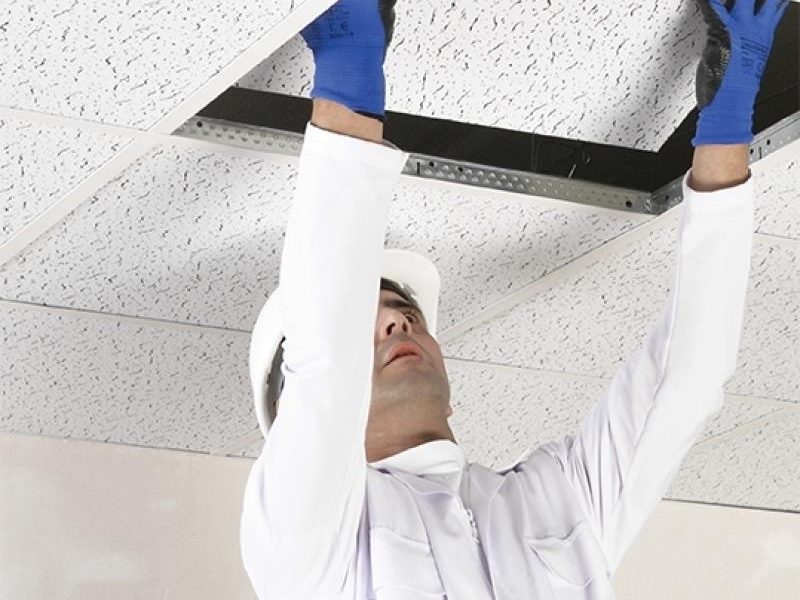 Tuzla Orhanlı Alçıpan Ustası, Niş ve Asma Tavan