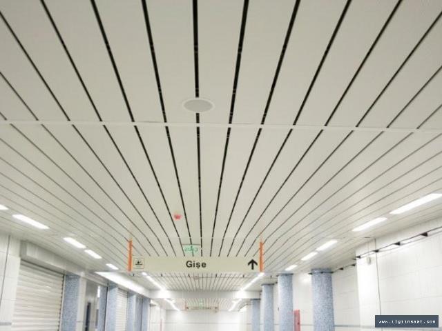 Zümrütevler Alçıpan Ustası, Niş ve Asma Tavan