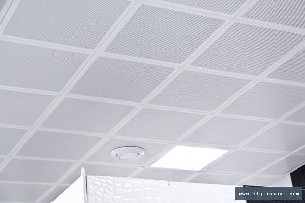 İstoç Alçıpan Ustası, Niş ve Asma Tavan