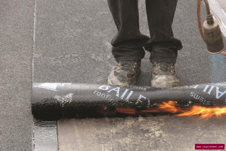 Çayırova Çatı Ustası